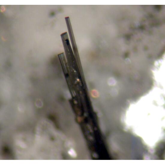 Anatase Tourmaline Calcite & Apatite