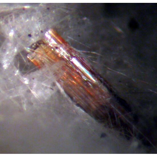 Vigezzite Fluorapatite & Roggianite