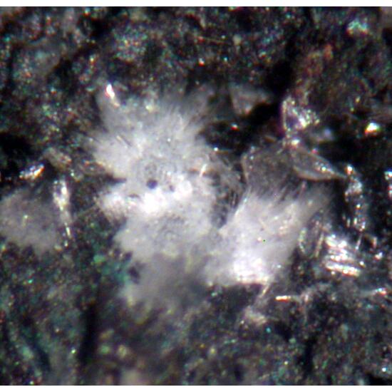 Smithsonite & Schaurteite