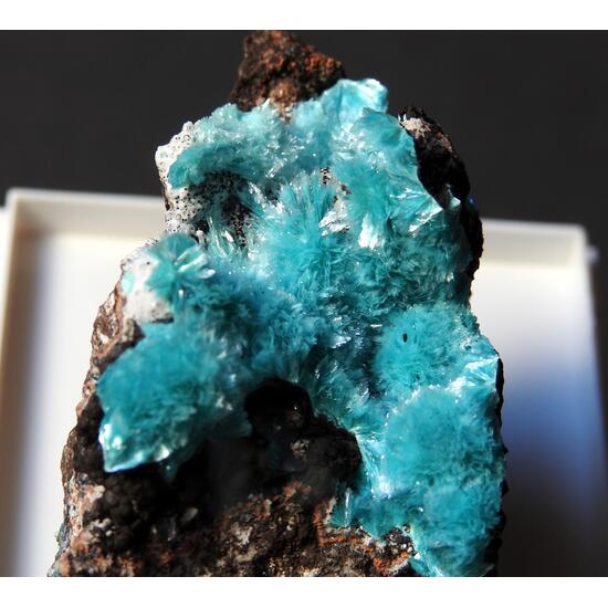 Aurichalcite
