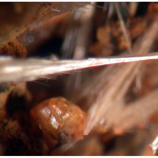 Strunzite Laueite & Pseudolaueite