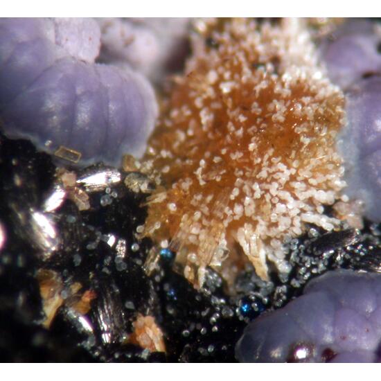 Strengite Rockbridgeite & Stewartite