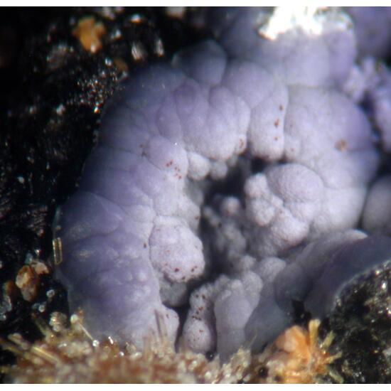 Strengite Rockbridgeite & Stewartite