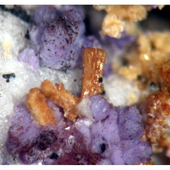 Jahnsite Stewartite Mitridatite & Strengite