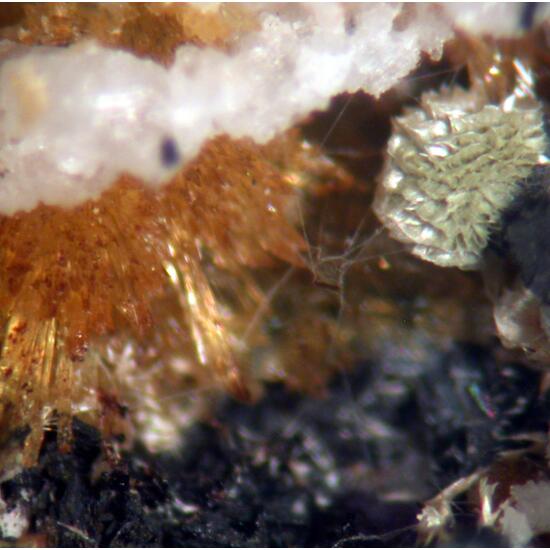 Jahnsite Stewartite Mitridatite & Strengite