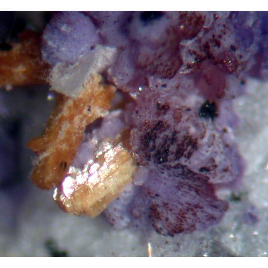 Jahnsite Stewartite Mitridatite & Strengite