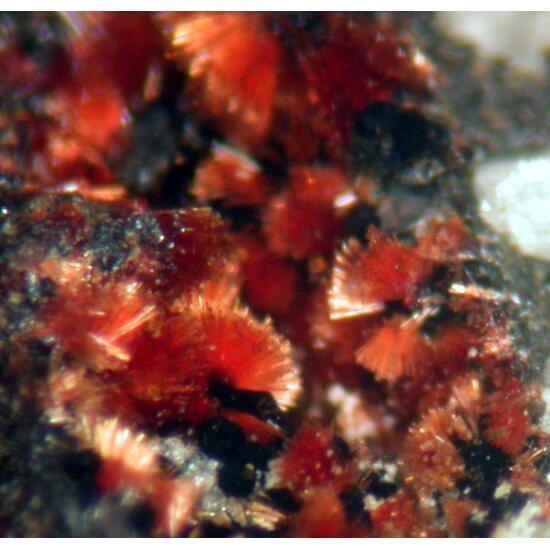 Beraunite & Frondelite