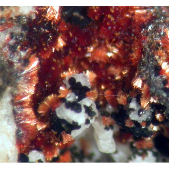 Beraunite & Frondelite