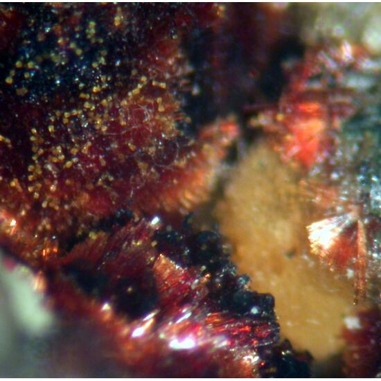 Beraunite & Frondelite