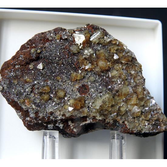 Wardite