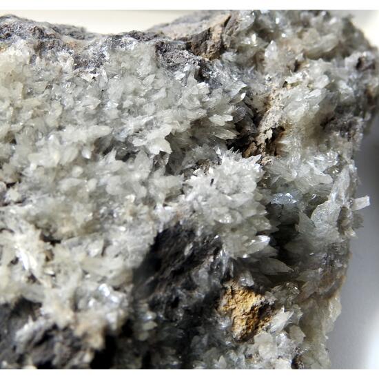 Collinsite