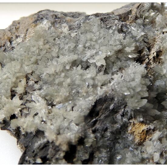Collinsite