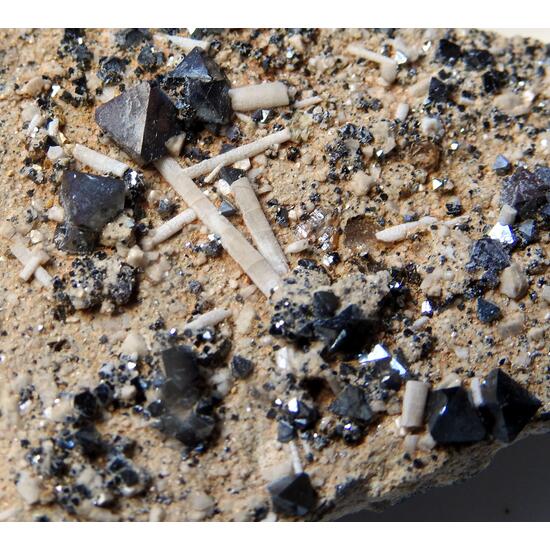 Hydroxylapatite & Magnetite