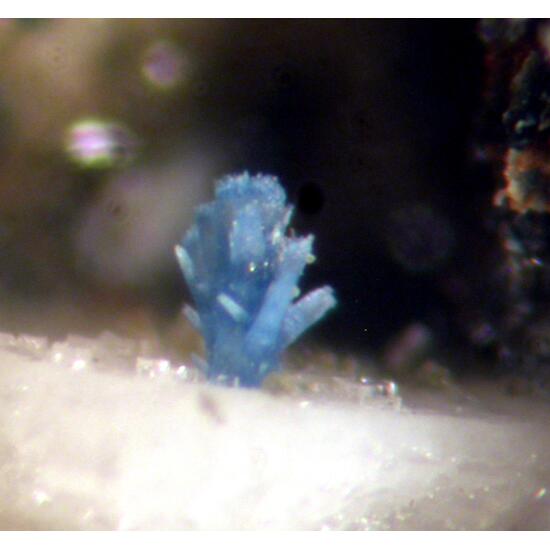 Thortveitite & Fluorite