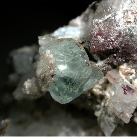 Fluorite & Albite