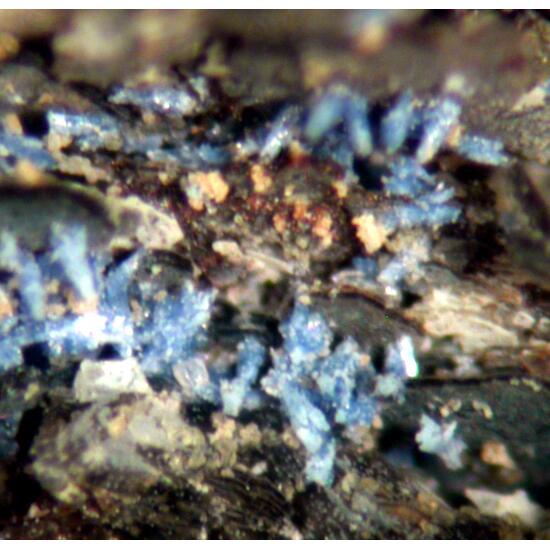 Hingganite-(Y) Thortveitite & Fluorite