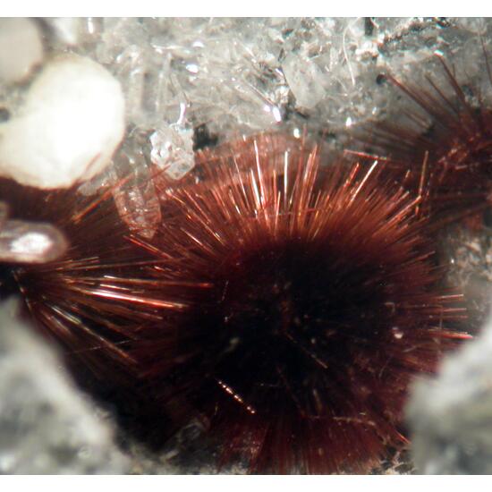 Fluorite Tuperssuatsiaite & Quartz