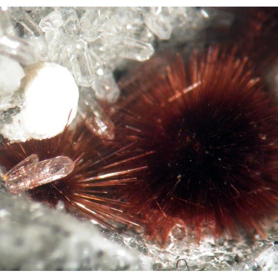 Fluorite Tuperssuatsiaite & Quartz