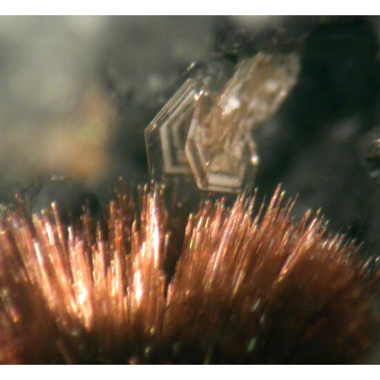 Arisite & Tuperssuatsiaite