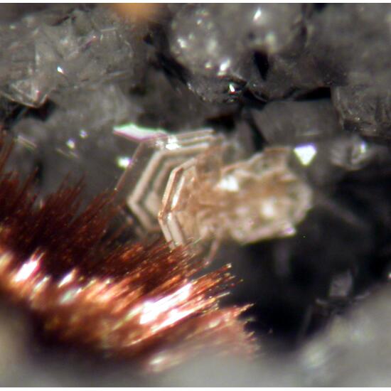 Arisite & Tuperssuatsiaite