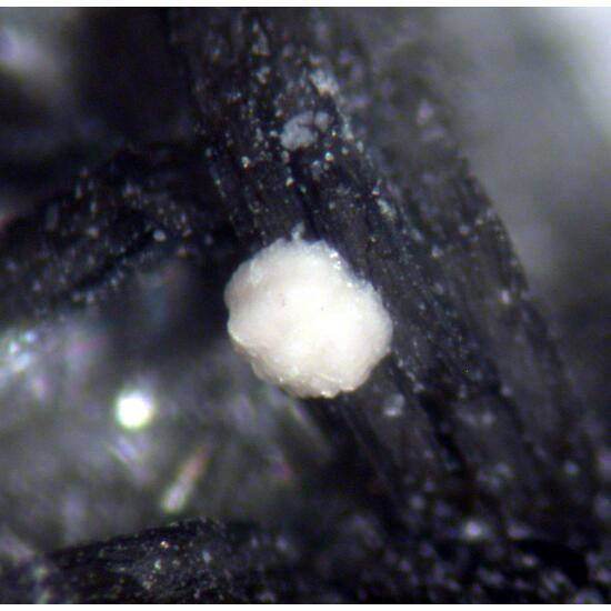 Kamphaugite-(Y) & Muscovite