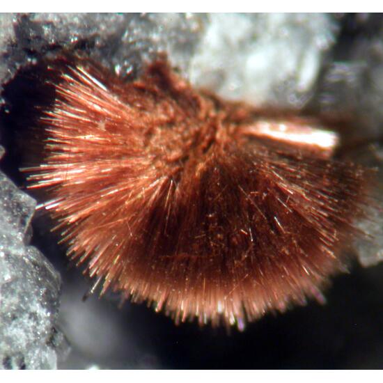 Fluorapatite Sphalerite & Tuperssuatsiaite