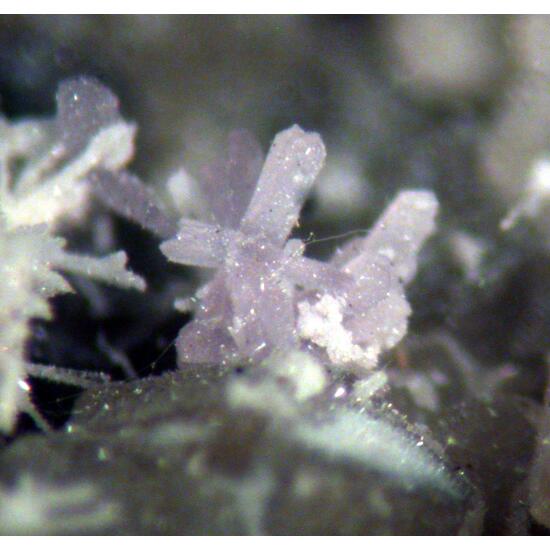 Calcioancylite-(Ce) Epididymite & Calcite