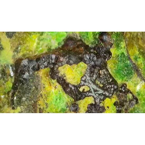 Uraninite & Cuprosklodowskite