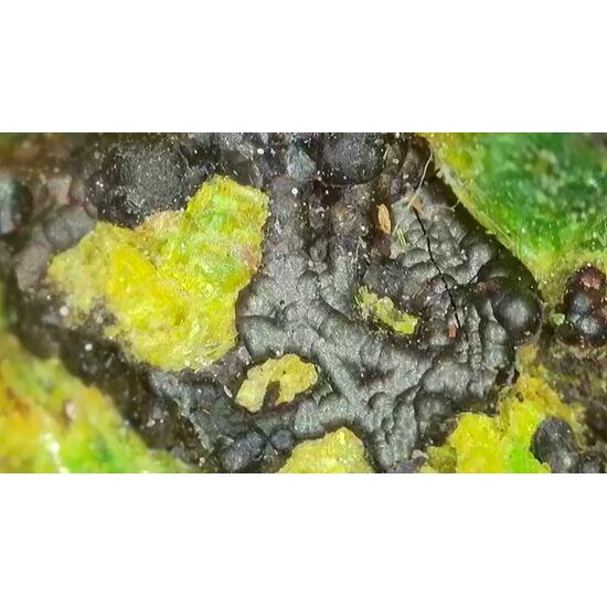 Uraninite & Cuprosklodowskite