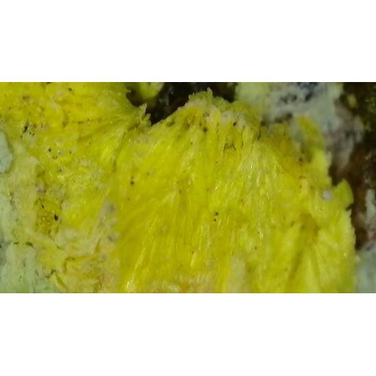 Uranopilite On Uraninite