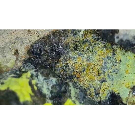 Uranopilite On Uraninite