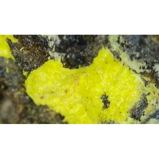 Uranopilite On Uraninite