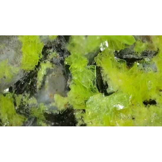 Autunite On Quartz