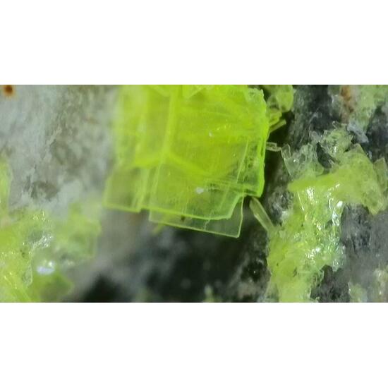 Autunite On Quartz