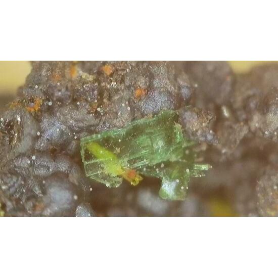 Dewindtite With Parsonsite & Torbernite