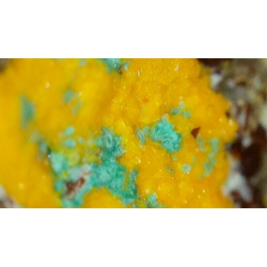 Johannite With Cuprosklodowskite & Zippeite