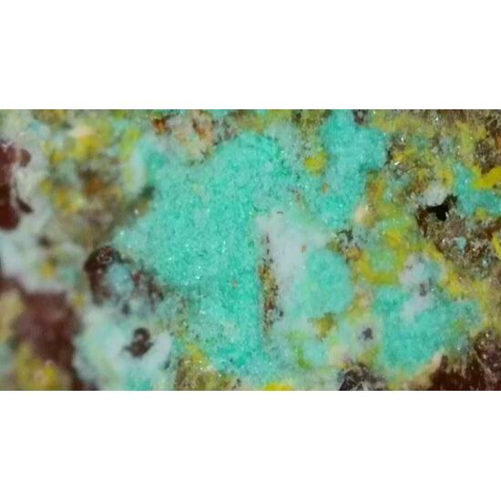 Johannite With Cuprosklodowskite & Zippeite