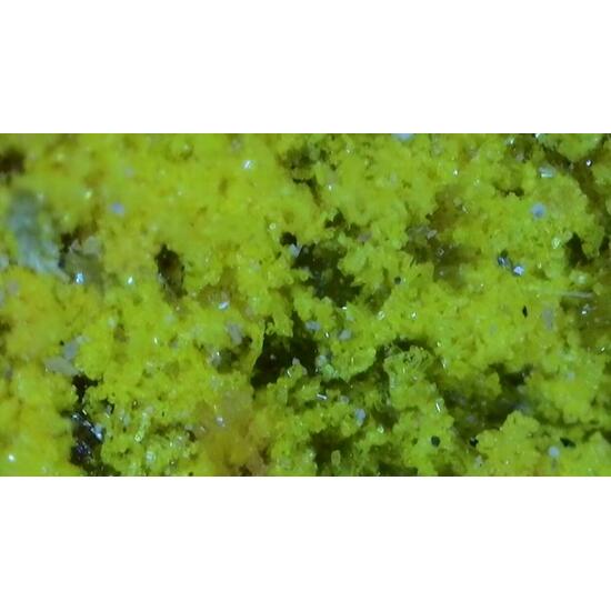 Natrozippeite With Uraninite & Pyrite