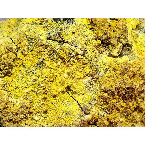Carnotite On Uraninite