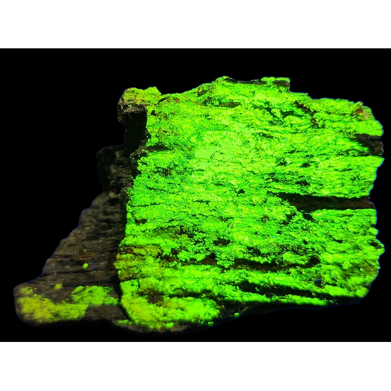 Natrozippeite & Natrojarosite On Uraninite Psm Wood