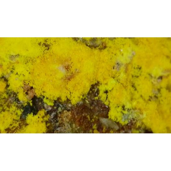 Zippeite On Uraninite