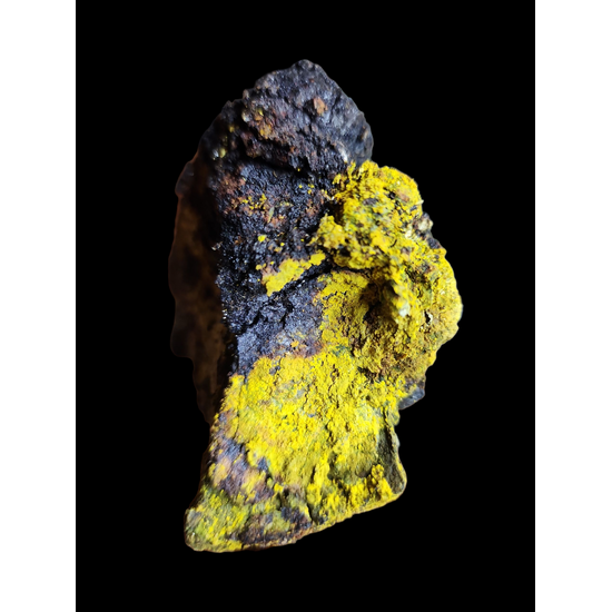 Carnotite On Uraninite