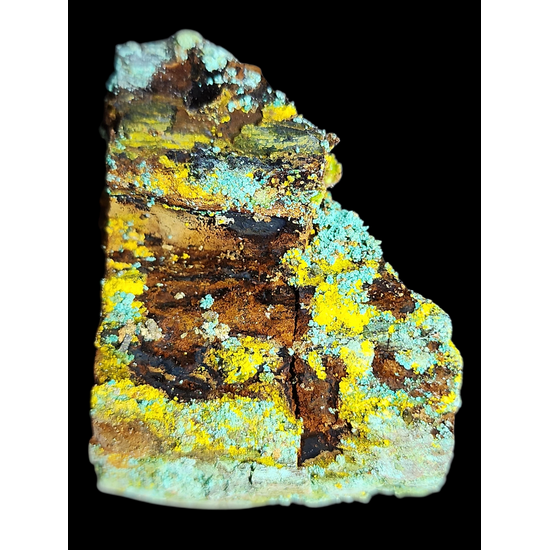 Natrozippeite On Petrified Wood With Malachite