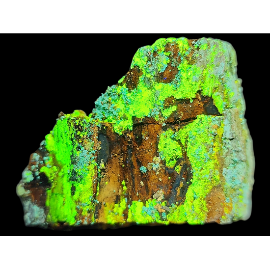 Natrozippeite On Petrified Wood With Malachite