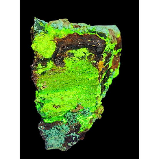 Natrozippeite On Petrified Wood With Malachite