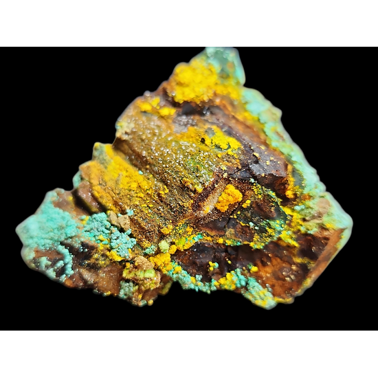 Natrozippeite On Petrified Wood With Malachite