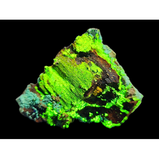 Natrozippeite On Petrified Wood With Malachite