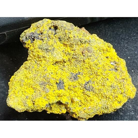 Carnotite On Uraninite