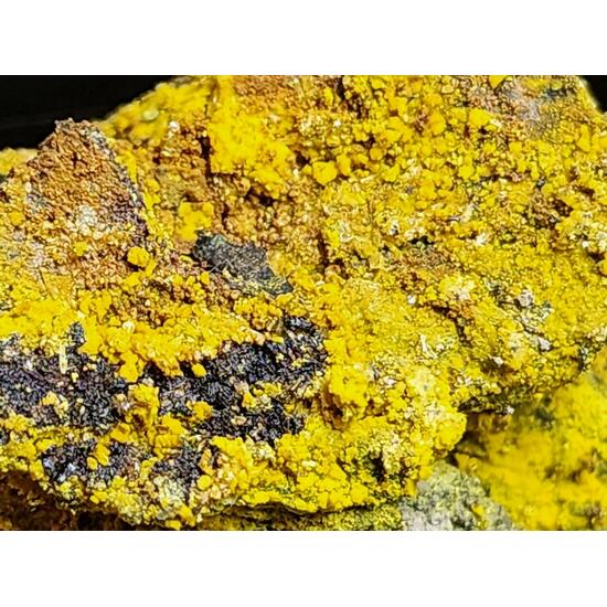 Carnotite On Uraninite