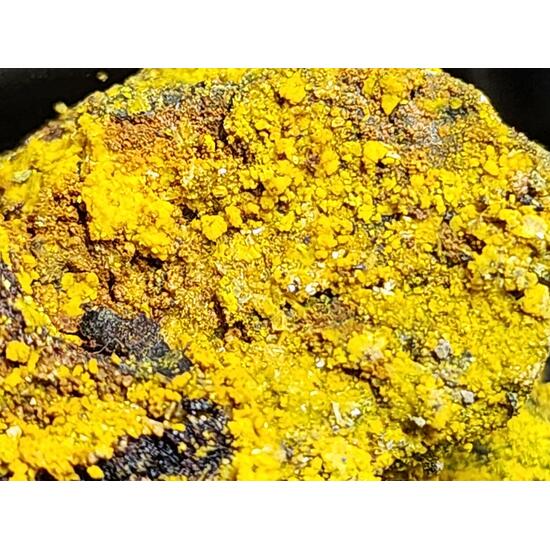 Carnotite On Uraninite